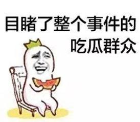 娛樂吃瓜菌體育,娛樂吃瓜菌帶你揭秘精彩瞬間