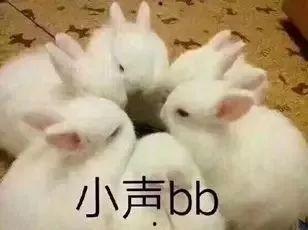 兔子吃瓜娛樂,揭秘娛樂圈的趣味瞬間