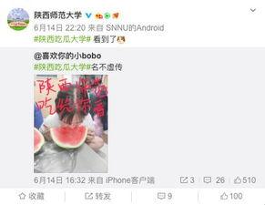 娛樂吃瓜醬拆姓名,揭秘明星姓名背后的趣味故事