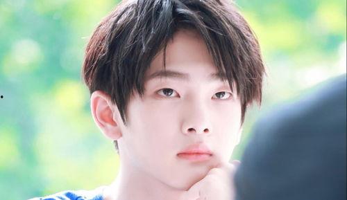 娛樂吃瓜小將王惠小說,娛樂圈的吃瓜小將，揭秘明星背后的故事