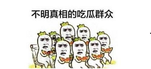 小龍娛樂辯論吃瓜,吃瓜群眾如何成為輿論風(fēng)向標(biāo)