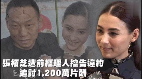 娛樂日常吃瓜,揭秘明星幕后故事