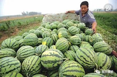 吃瓜的娛樂號,吃瓜群眾視角下的明星幕后故事