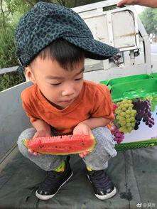 吃瓜娛樂萌,揭秘娛樂圈那些萌趣瞬間
