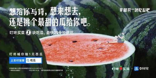 娛樂吃瓜文案怎么弄的啊,輕松駕馭熱點，輕松成為話題中心