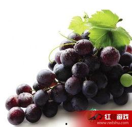 娛樂吃瓜醬葡萄娛樂,揭秘娛樂圈幕后故事與趣味瞬間