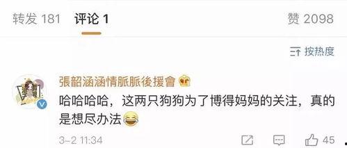 娛樂播報(bào)安心吃瓜,娛樂播報(bào)帶你輕松解碼娛樂圈最新動態(tài)