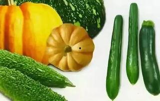 娛樂吃瓜009,吃瓜群眾009的獨(dú)家爆料
