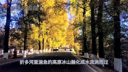 娛樂吃瓜君地址,探尋娛樂圈幕后故事