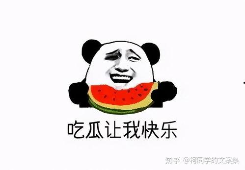 2021娛樂吃瓜,吃瓜群眾的熱議焦點大盤點