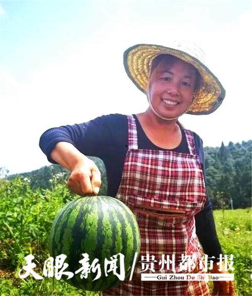 貴陽娛樂吃瓜,吃瓜群眾的熱門話題大盤點