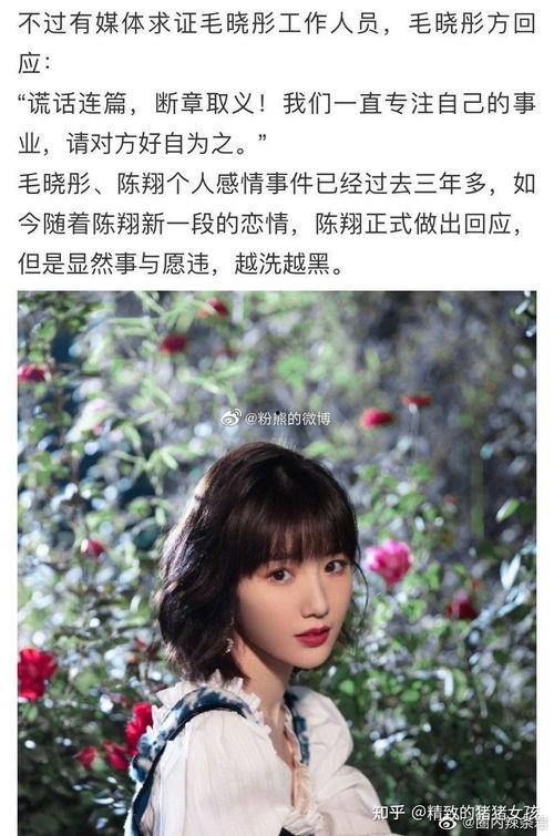 娛樂圈大瓜在哪吃,揭秘獨家爆料，揭秘明星幕后故事