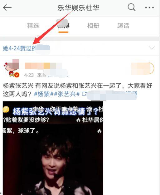 娛樂吃瓜視頻模板,明星幕后故事大揭秘，吃瓜群眾必看！