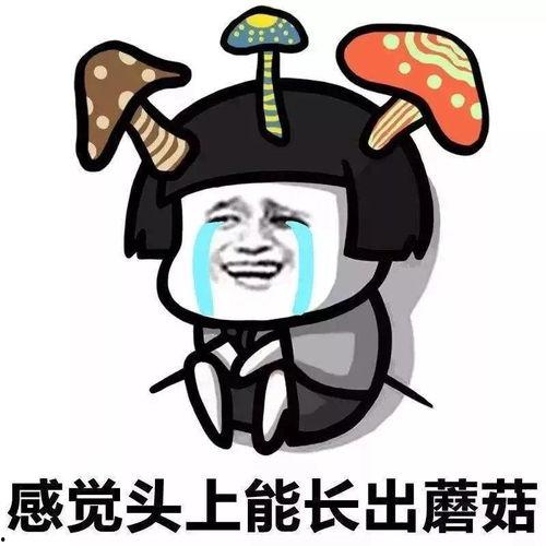 娛樂吃瓜醬出門忘關(guān)空調(diào),娛樂吃瓜醬上演“電費刺客”