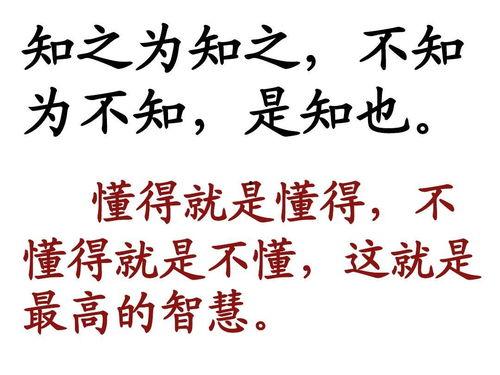 娛樂吃瓜醬名言名句大全,名言名句中的趣味人生