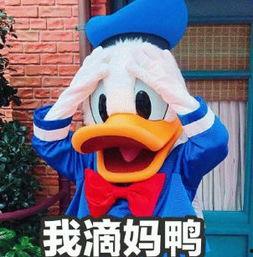 娛樂吃瓜君鴨,揭秘娛樂圈那些不為人知的幕后故事