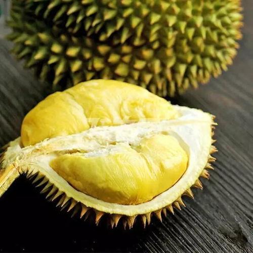 吃瓜娛樂間榴蓮,熱帶果王背后的傳奇與爭議