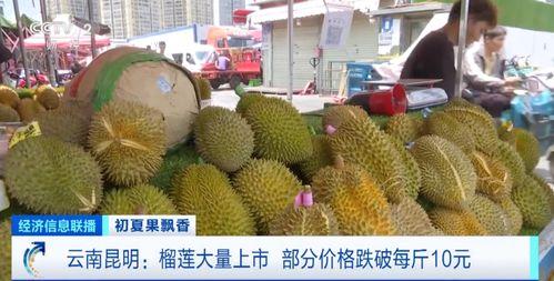 吃瓜娛樂間榴蓮,熱帶果王背后的傳奇與爭議