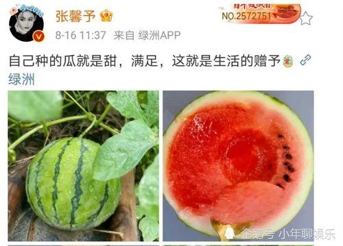 娛樂(lè)圈吃瓜的圖片大全,揭秘明星幕后生活瞬間