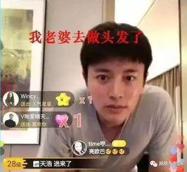 娛樂(lè)圈系統(tǒng)吃瓜電視劇,瓜田李下，明星們的甜蜜苦澀
